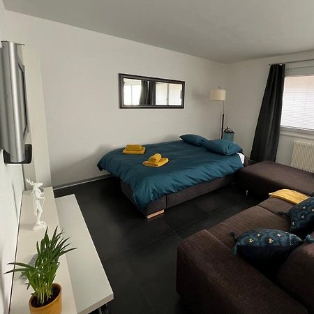 Appartement Tourbillon Centre-Ville Sion Ngoại thất bức ảnh