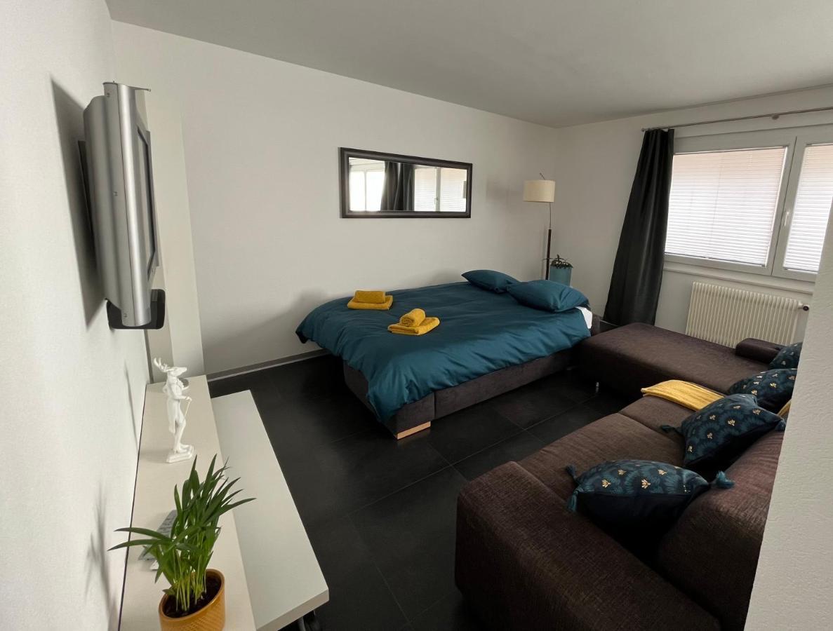 Appartement Tourbillon Centre-Ville Sion Ngoại thất bức ảnh